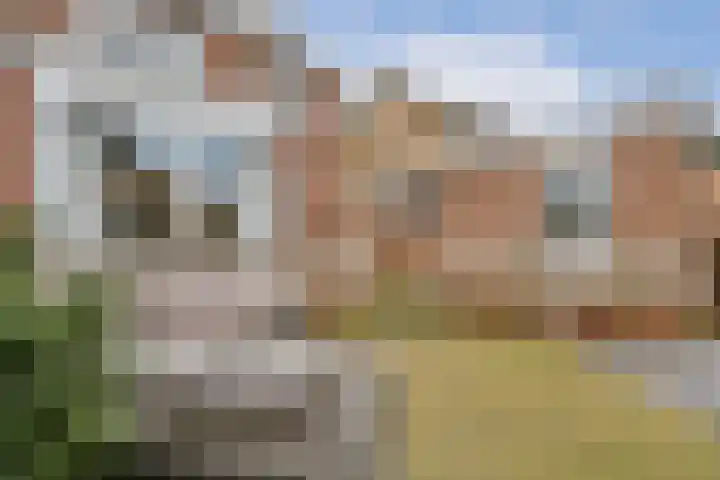 3e Poellaan 30 Lisse thumbnail 10