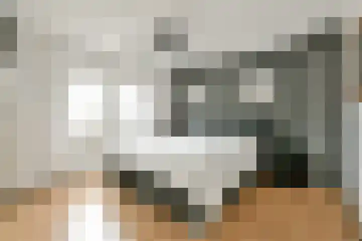 3e Poellaan 30 Lisse thumbnail 15