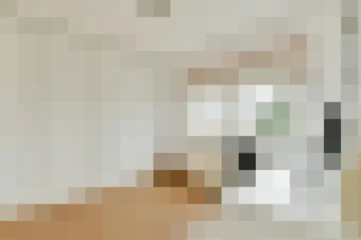 3e Poellaan 30 Lisse thumbnail 17