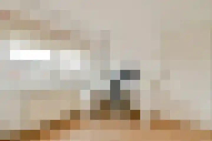 3e Poellaan 30 Lisse thumbnail 18