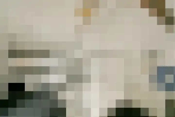 3e Poellaan 30 Lisse thumbnail 22