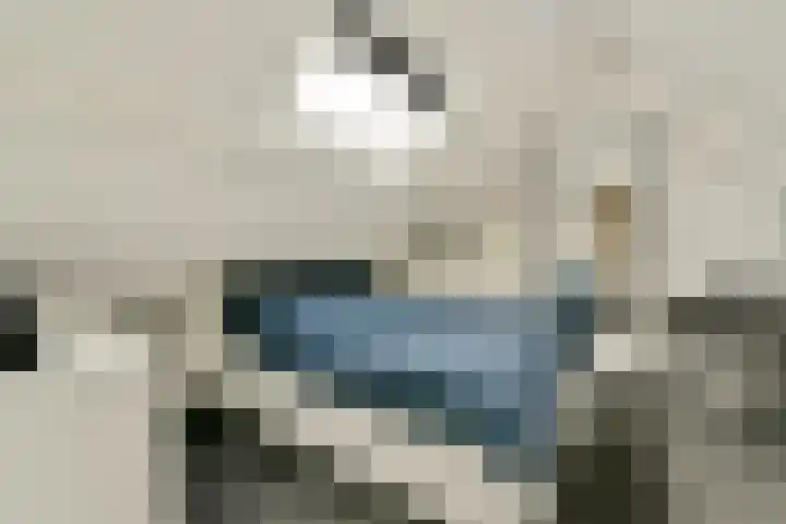 3e Poellaan 30 Lisse thumbnail 23