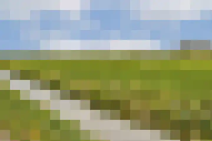 3e Poellaan 30 Lisse thumbnail 29