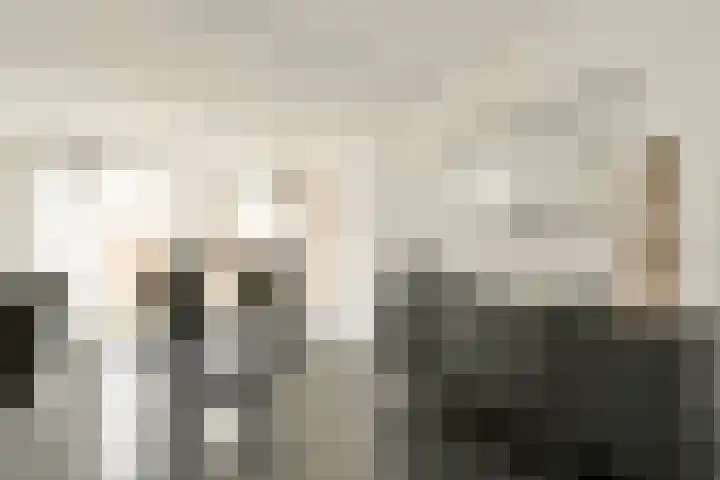 3e Poellaan 30 Lisse thumbnail 6