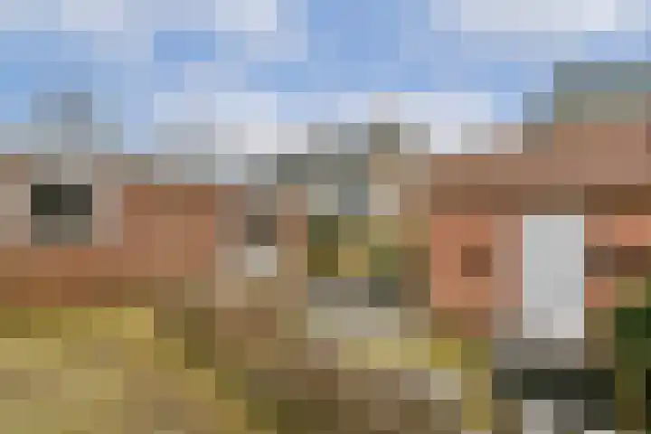 3e Poellaan 30 Lisse thumbnail 9