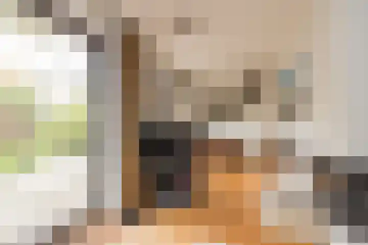 3e Poellaan 32 Lisse thumbnail 10