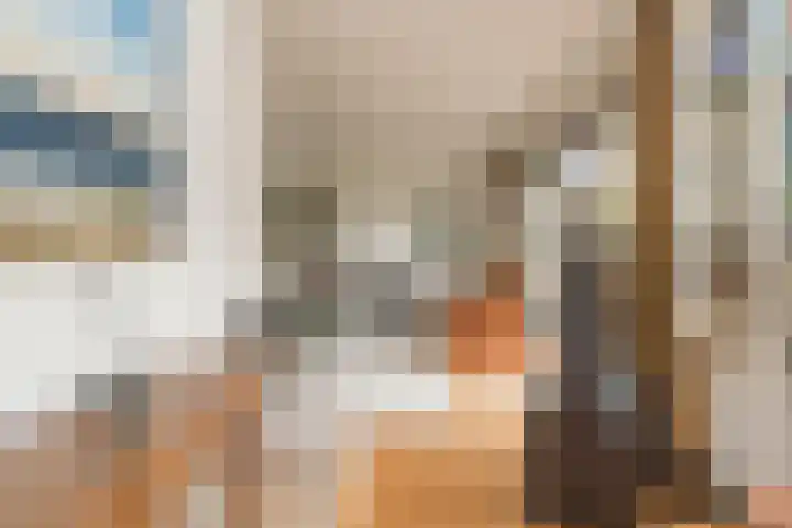 3e Poellaan 32 Lisse thumbnail 12