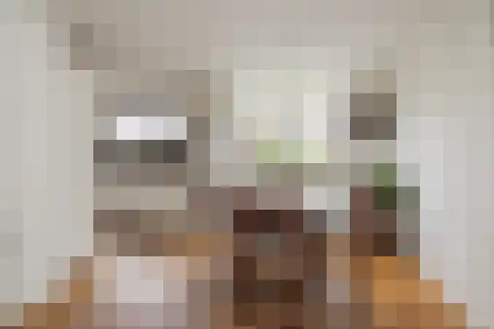 3e Poellaan 32 Lisse thumbnail 13