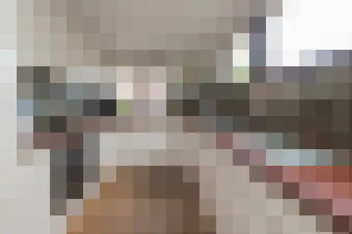 3e Poellaan 32 Lisse thumbnail 16