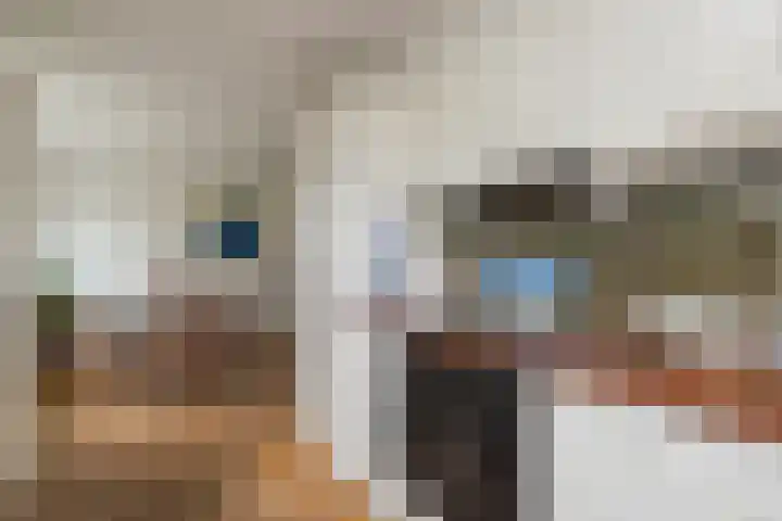 3e Poellaan 32 Lisse thumbnail 18