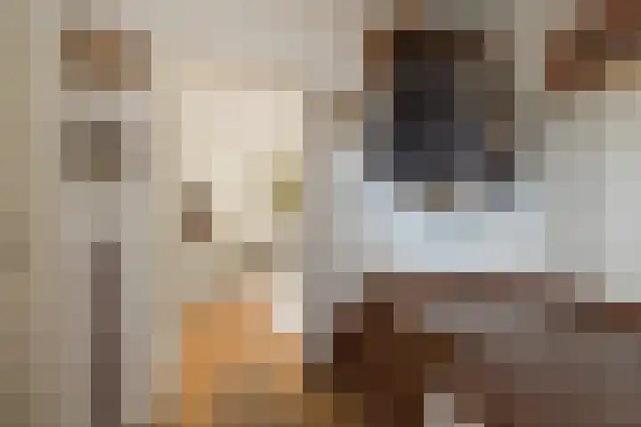 3e Poellaan 32 Lisse thumbnail 21