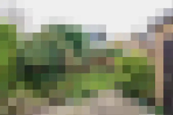 3e Poellaan 32 Lisse thumbnail 24