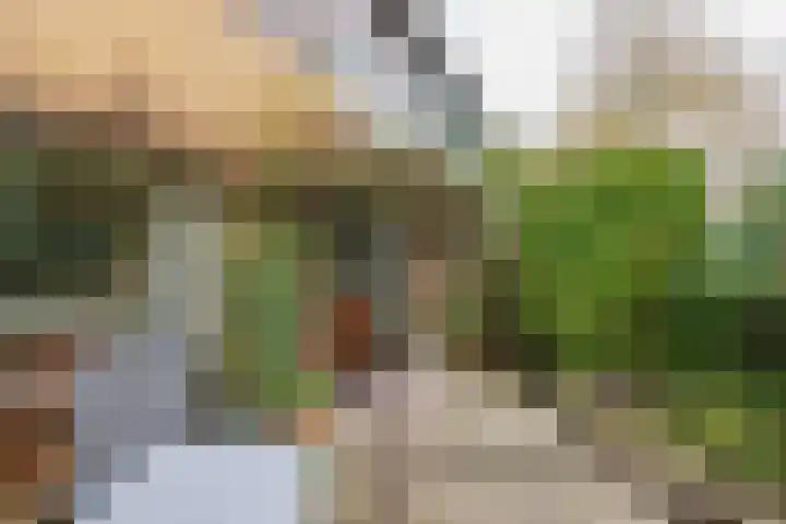 3e Poellaan 32 Lisse thumbnail 25