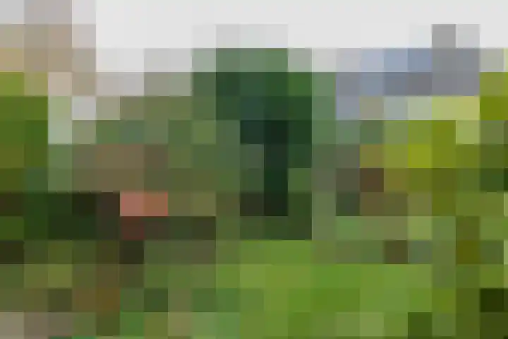 3e Poellaan 32 Lisse thumbnail 26