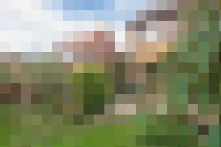 3e Poellaan 32 Lisse thumbnail 27