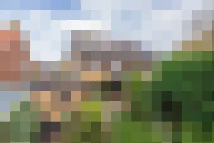 3e Poellaan 32 Lisse thumbnail 28