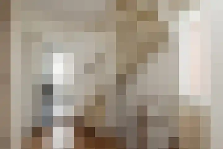 3e Poellaan 32 Lisse thumbnail 29