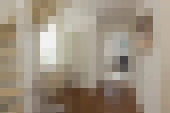 3e Poellaan 32 Lisse thumbnail 30