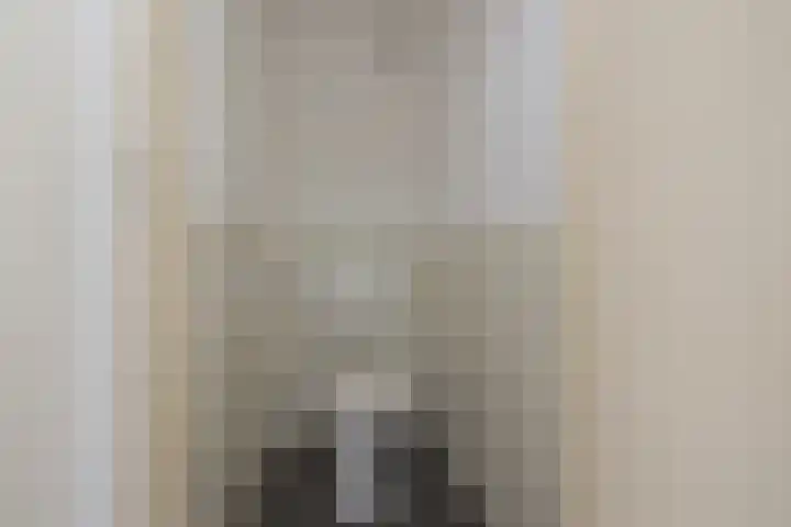 3e Poellaan 32 Lisse thumbnail 31