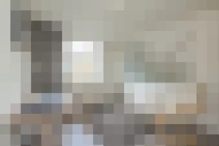 3e Poellaan 32 Lisse thumbnail 37