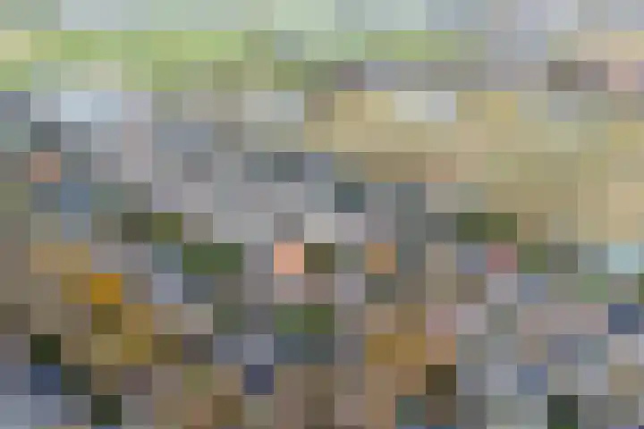 3e Poellaan 32 Lisse thumbnail 4