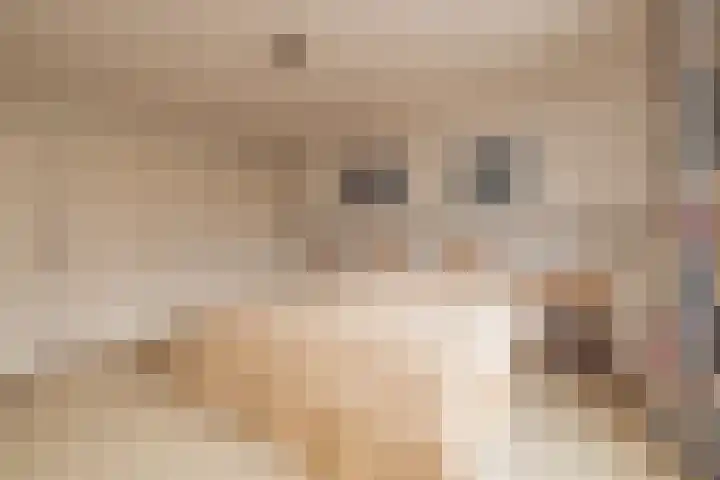 3e Poellaan 32 Lisse thumbnail 42