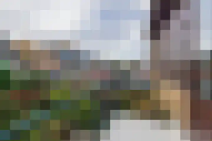 3e Poellaan 32 Lisse thumbnail 43