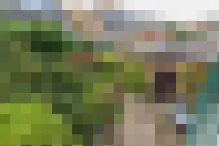3e Poellaan 32 Lisse thumbnail 44
