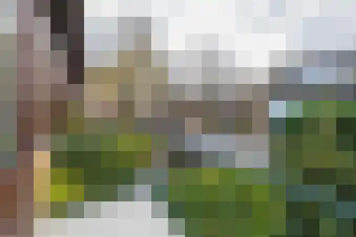 3e Poellaan 32 Lisse thumbnail 45