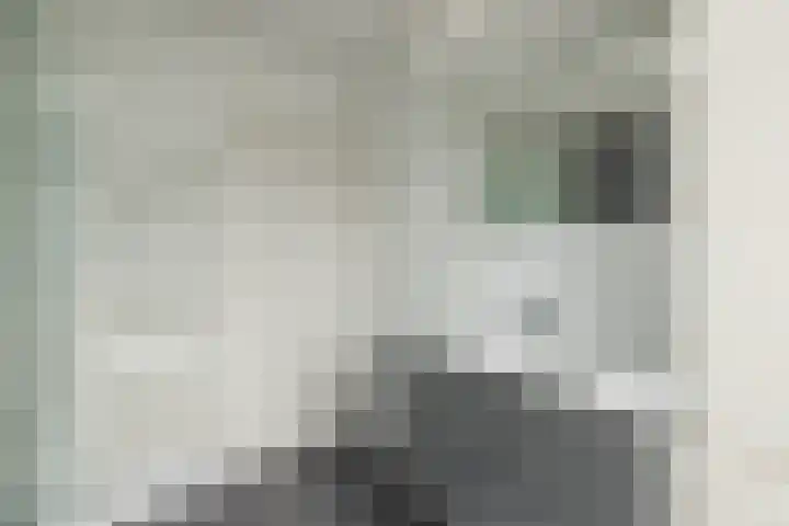3e Poellaan 32 Lisse thumbnail 48
