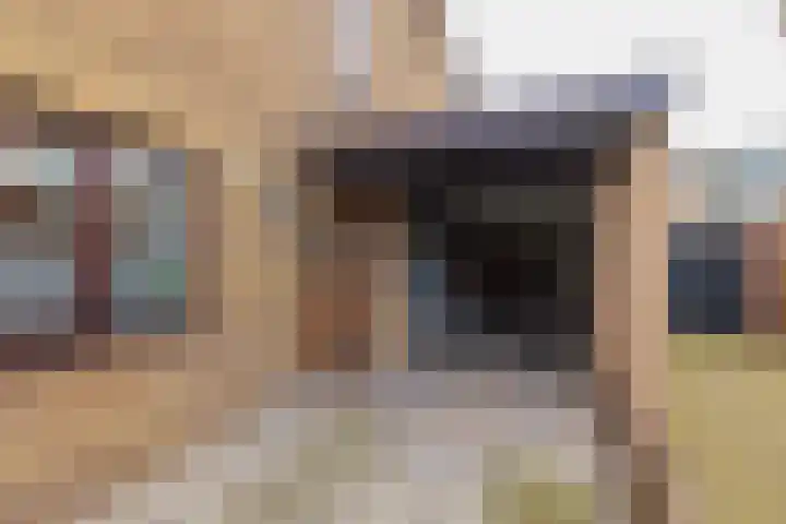 3e Poellaan 32 Lisse thumbnail 58