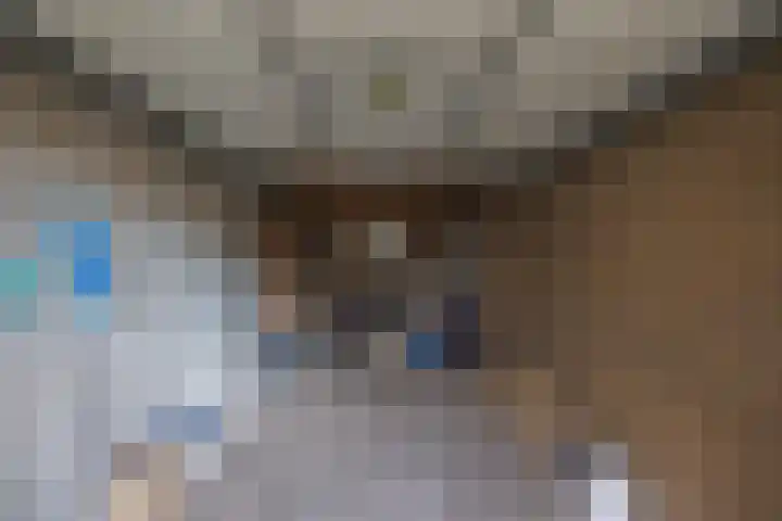 3e Poellaan 32 Lisse thumbnail 59