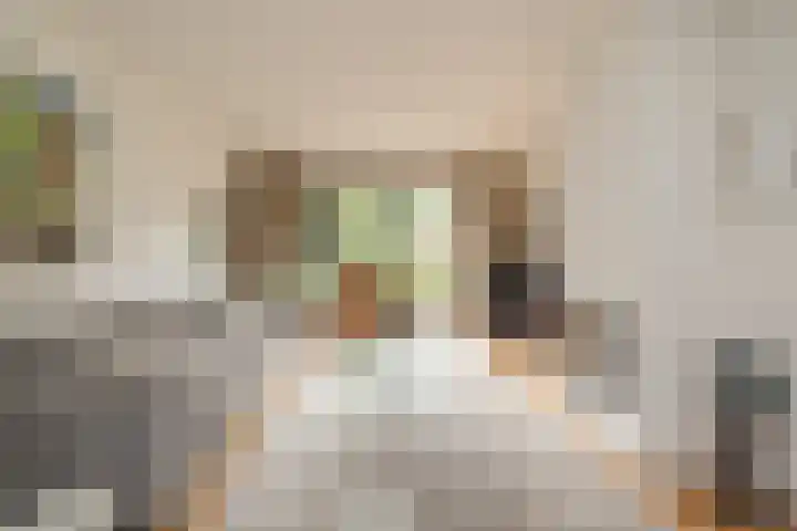 3e Poellaan 32 Lisse thumbnail 6