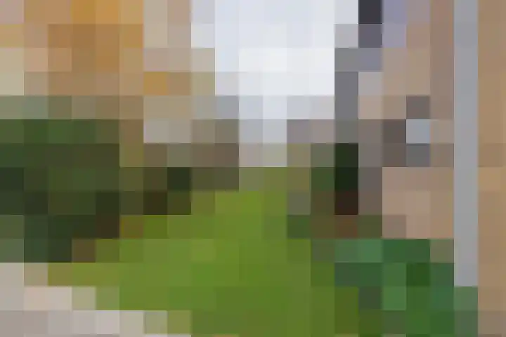 3e Poellaan 32 Lisse thumbnail 60