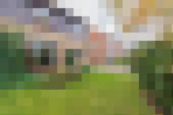 3e Poellaan 32 Lisse thumbnail 61