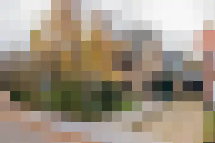 3e Poellaan 32 Lisse thumbnail 63