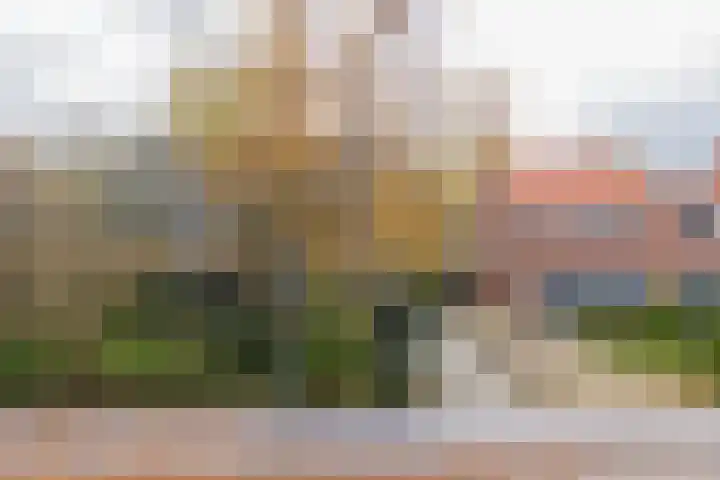3e Poellaan 32 Lisse thumbnail 64