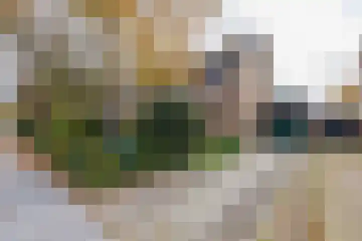 3e Poellaan 32 Lisse thumbnail 65