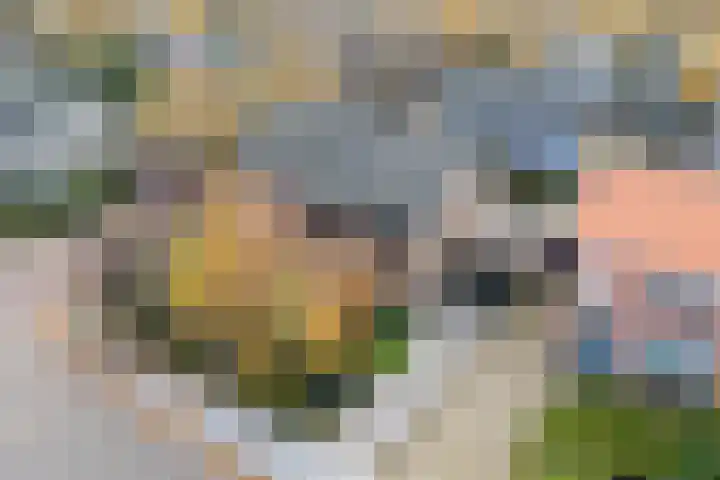 3e Poellaan 32 Lisse thumbnail 66
