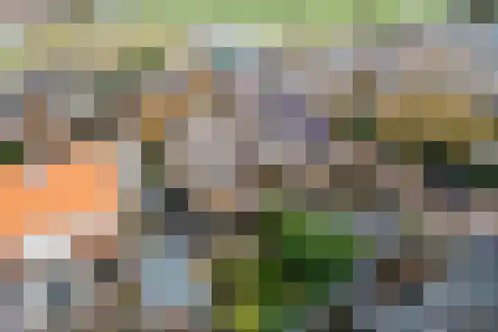 3e Poellaan 32 Lisse thumbnail 67
