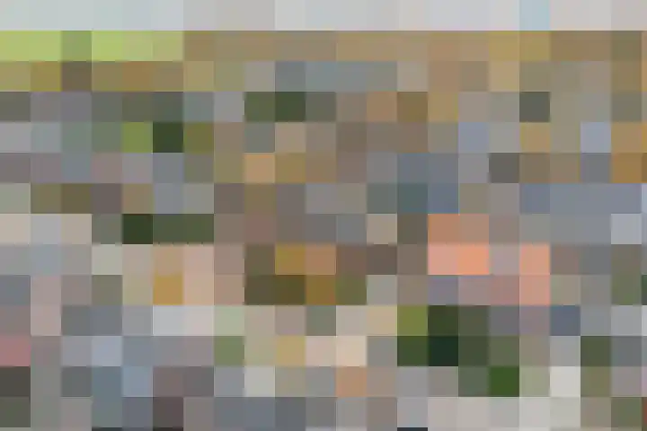 3e Poellaan 32 Lisse thumbnail 68