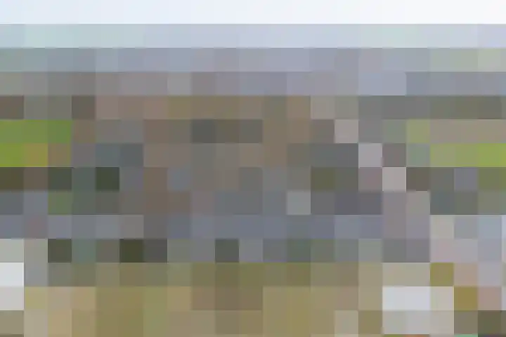 3e Poellaan 32 Lisse thumbnail 69