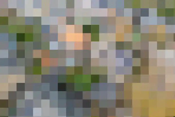 3e Poellaan 32 Lisse thumbnail 70