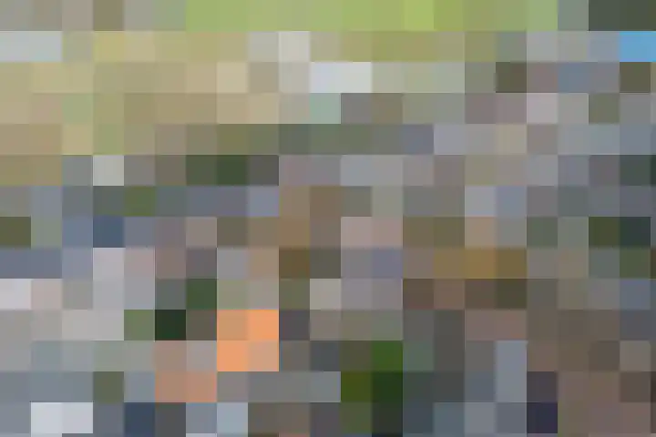 3e Poellaan 32 Lisse thumbnail 71
