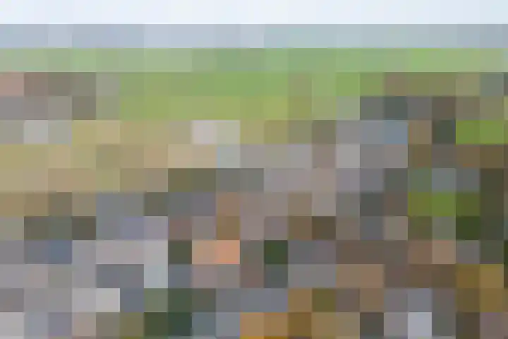 3e Poellaan 32 Lisse thumbnail 72