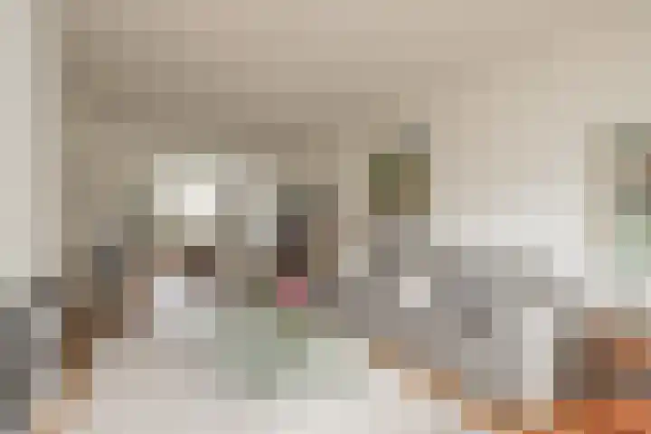 3e Poellaan 32 Lisse thumbnail 8