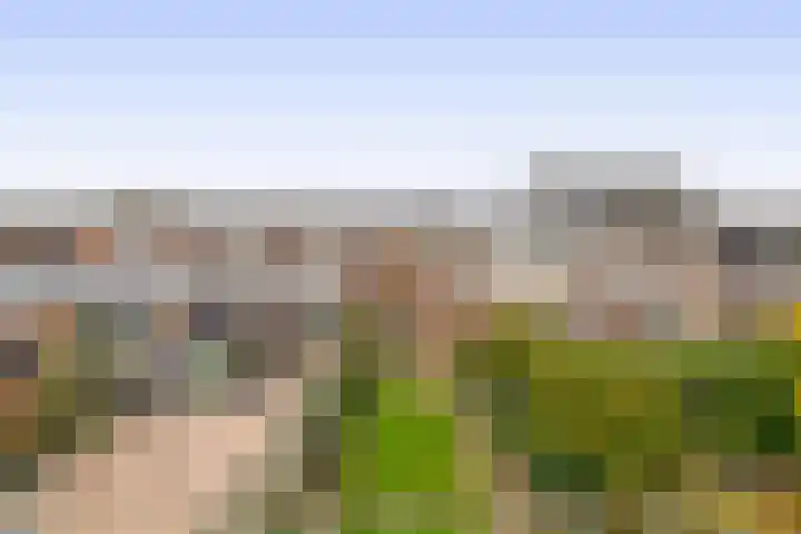 3e Poellaan 41 Lisse thumbnail 23