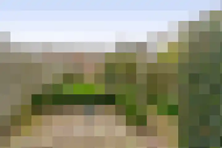 3e Poellaan 41 Lisse thumbnail 24