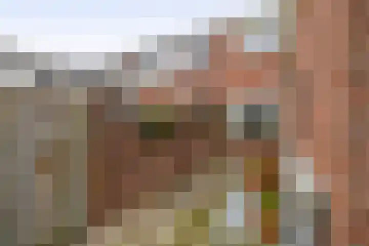 3e Poellaan 41 Lisse thumbnail 25