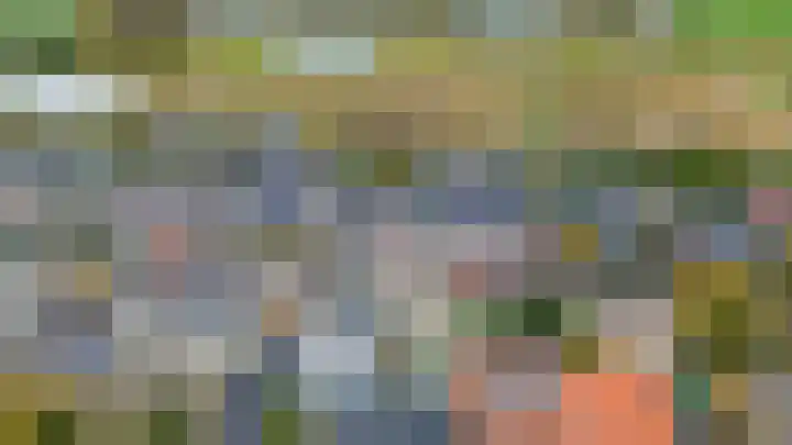 3e Poellaan 41 Lisse thumbnail 29